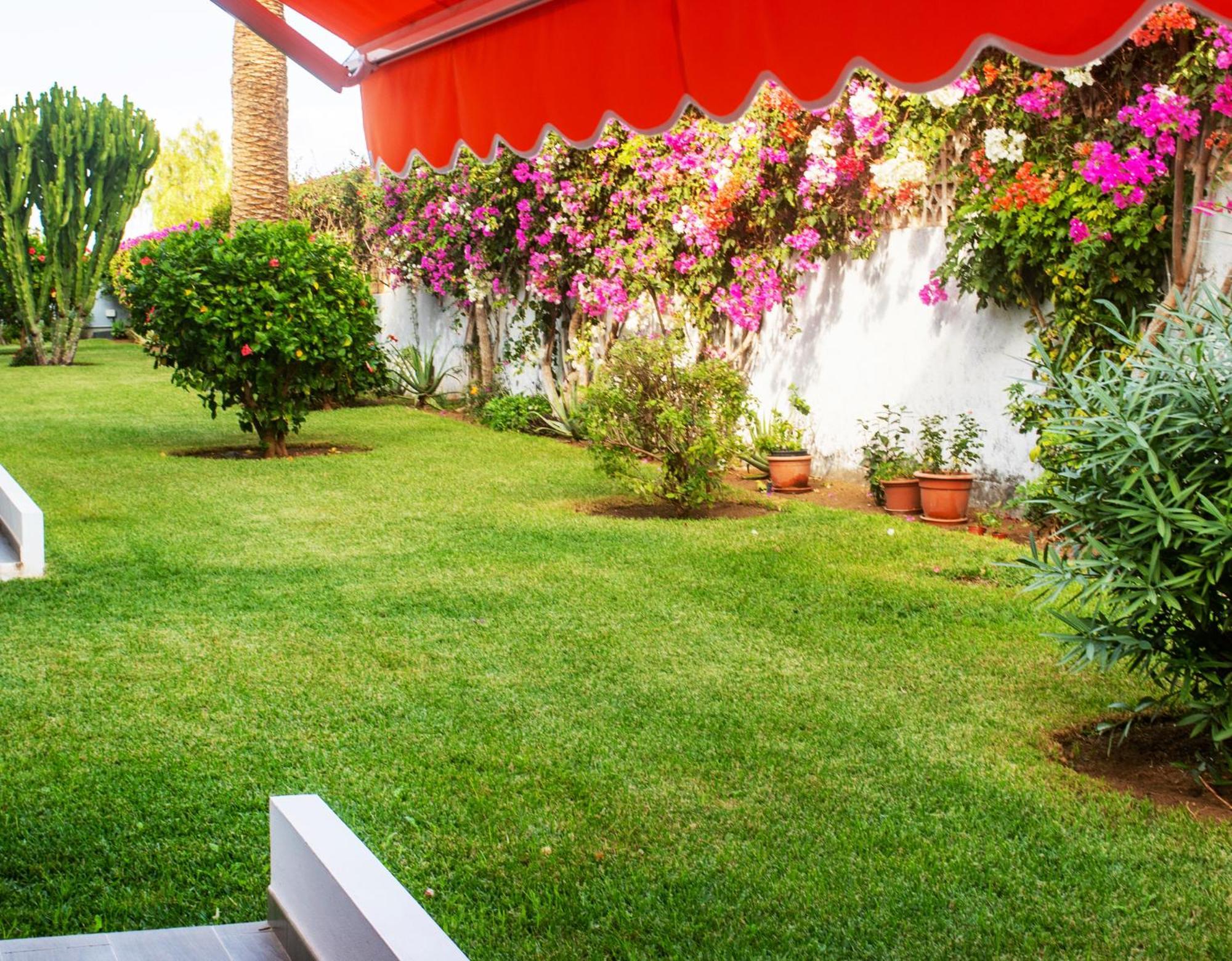 Casa Tranquila Διαμέρισμα Πουέρτο Ντε Λα Κρουζ Εξωτερικό φωτογραφία